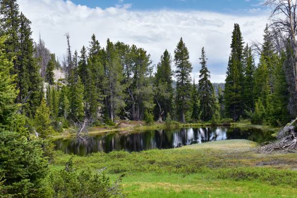 istock Wind River Range, Rocky Mountains, Wyoming, views from backpacking hiking trail to Titcomb Basin from Elkhart Park Trailhead going past Hobbs, Seneca, Island, Upper and Lower Jean Lakes as well as Photographers point. 1010669356