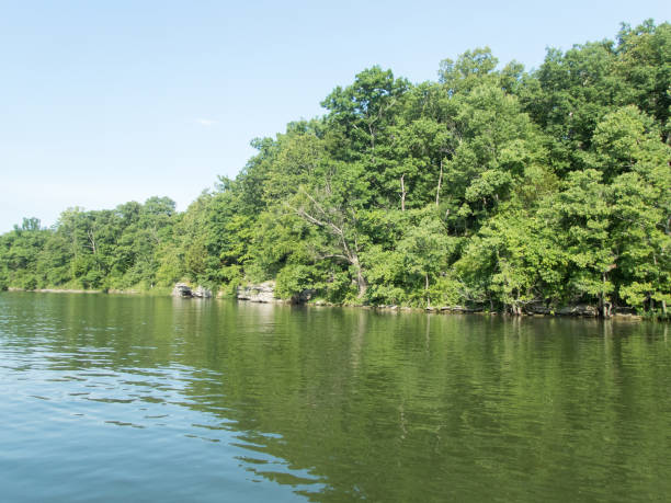 istock Scene at the lake 1010669924