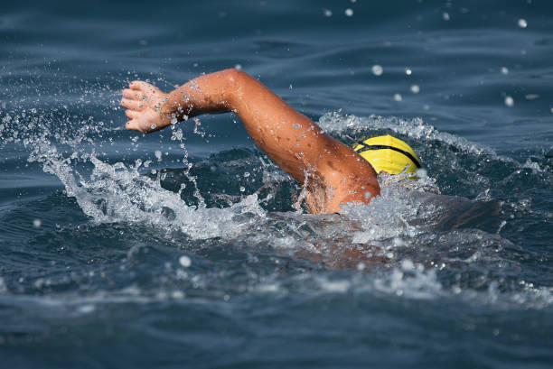 istock Man swimmer swimming crawl in blue sea 1010674172