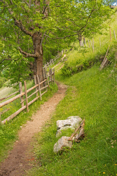 istock On the Taser mountain trail 1010674318