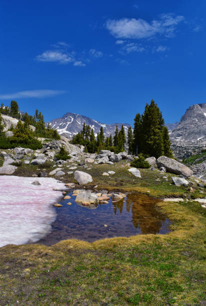 istock Wind River Range, Rocky Mountains, Wyoming, views from backpacking hiking trail to Titcomb Basin from Elkhart Park Trailhead going past Hobbs, Seneca, Island, Upper and Lower Jean Lakes as well as Photographers point. 1010678132