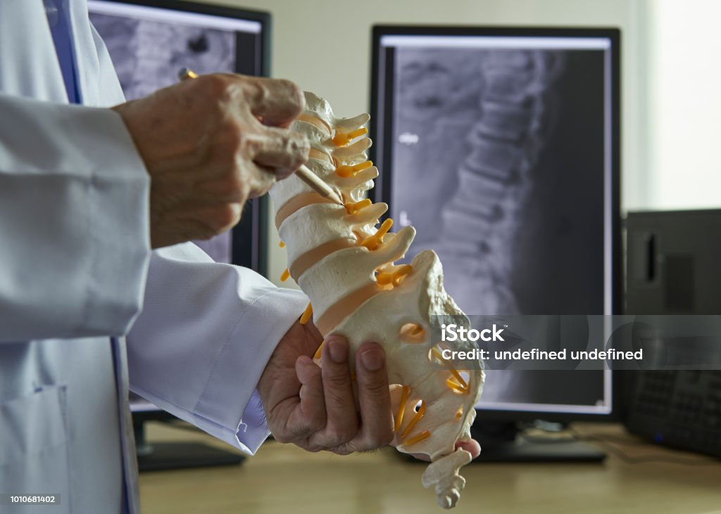 A neurosurgeon  pointing at lumbar vertebra model in medical off A neurosurgeon using pencil pointing at lumbar vertebra model in medical office. Lumbar spine x-ray on computer screen on background. Spine - Body Part Stock Photo