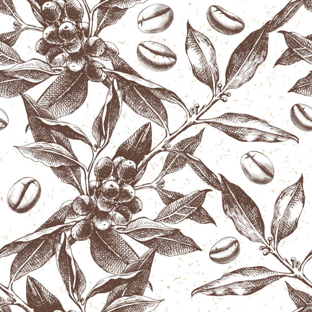Seamles pattern with hand drawn coffee plant and beans. vector illustration in retro style