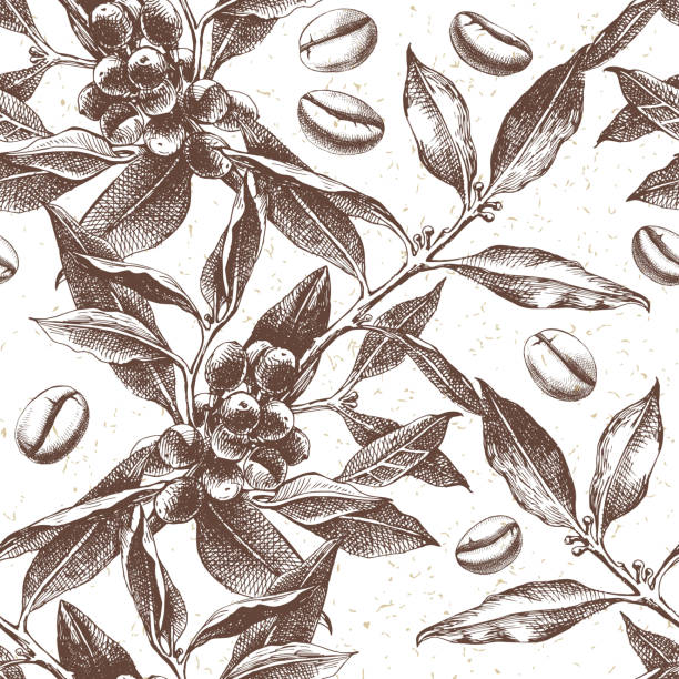 Seamles pattern with coffee plant and beans Seamles pattern with hand drawn coffee plant and beans. vector illustration in retro style caffeine illustrations stock illustrations