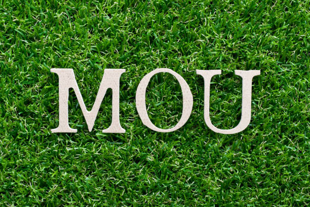 Wood alphabet in word MOU (abbreviation of memorandum of understanding)on artificial green grass background