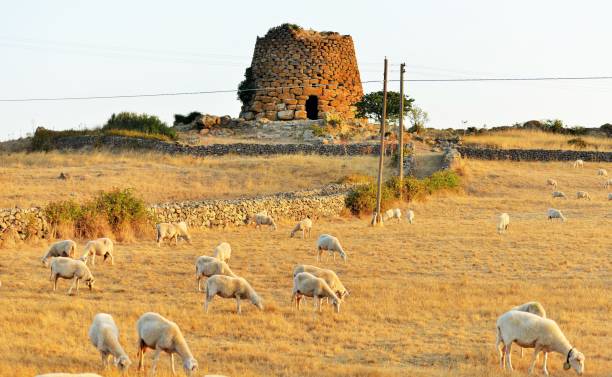 просто сардиния - nuragic стоковые фото и изображения