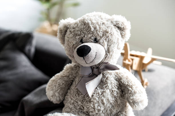 istock close-up view of beautiful grey teddy bear on sofa 1010698730