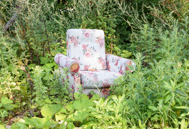 istock Old armchair in an abandoned garden 1010711988