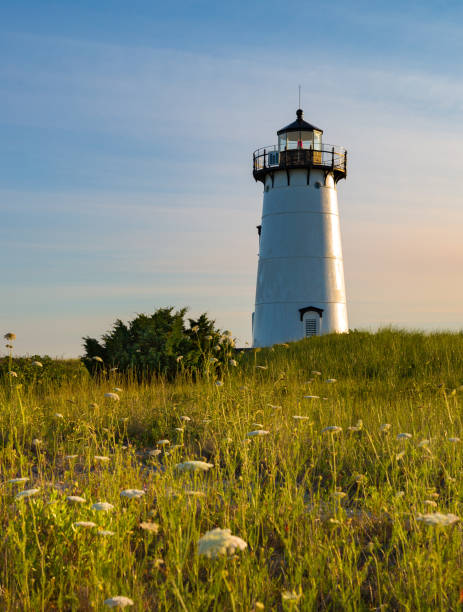 istock Edgartown lighthouse, Martha's Vineyard, surrounded by wildflowers in summer 1010724634