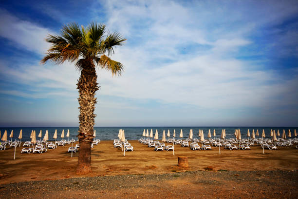 Finikoudes Beach - Larnaca City, Cyprus stock photo
