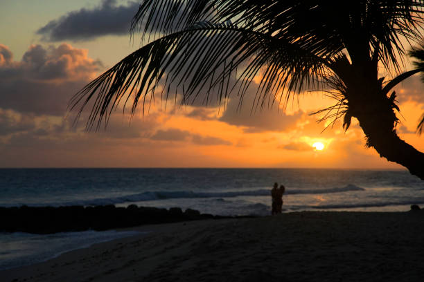 Barbados. St. Lawrence Gap. Dover Beach