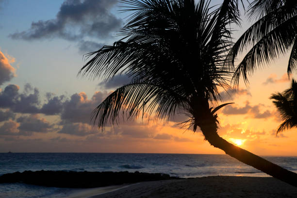 istock Barbados. St. Lawrence Gap. Dover Beach 1010737962