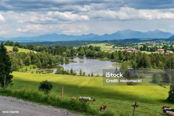 Idyllische Sommerlandschaft Mit Bergsee In Den Alpen Stockfoto und mehr Bilder von Agrarbetrieb