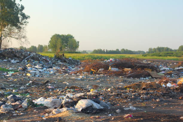 istock Unauthorized dump of garbage in the nature. Environmental concept. 1010738550