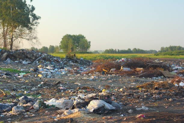istock Unauthorized dump of garbage in the nature. Environmental concept. 1010738614