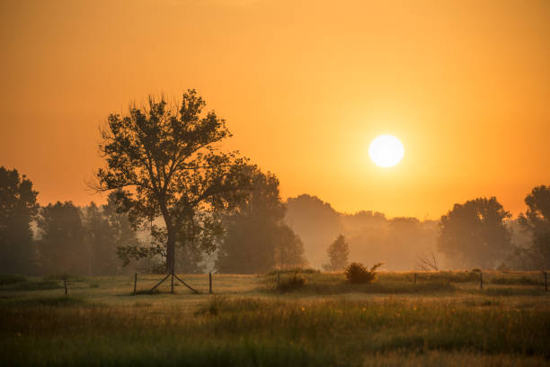 istock Sunrise in the countryside 1010750488