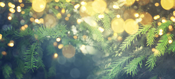 istock Abstract christmas lights on background 1010755292