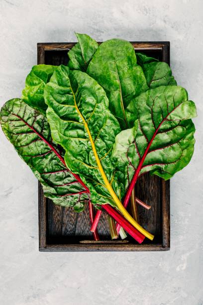 istock Fresh raw swiss rainbow chard leaves on gray stone background. 1010755586