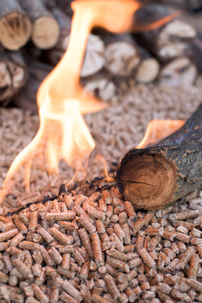 istock Oak biomass in flames 1010765654
