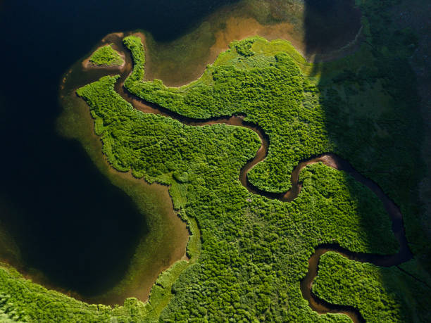istock Lush Green Meandering Mountain Stream from Above 1010768562