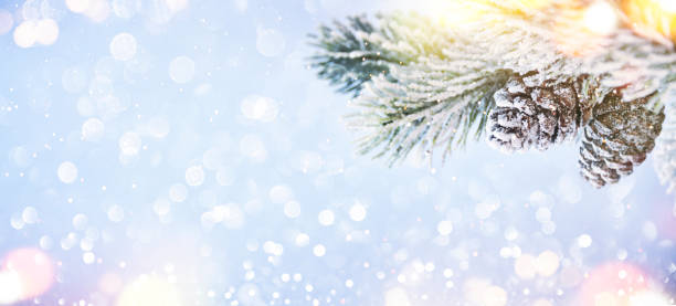 istock Christmas holiday snow background 1010769414