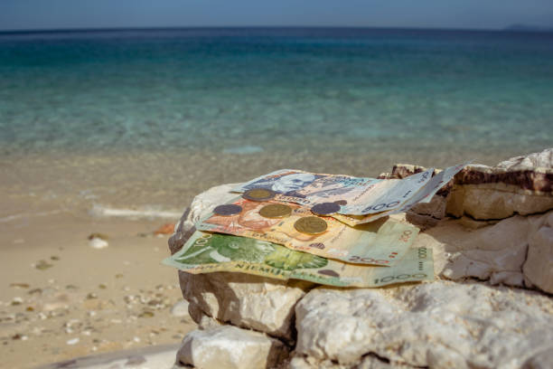 istock Albanian coins and banknotes on the beach. 1010771162