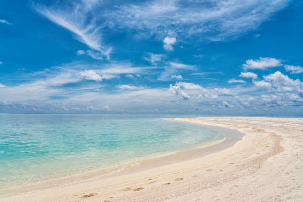 istock Paradise beach on Maldives 1010771362