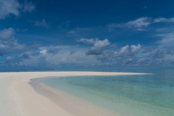 istock Paradise beach on Maldives 1010774138