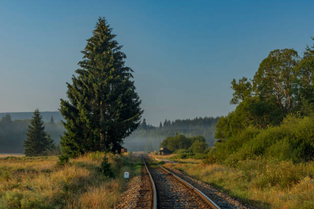 Railway track near Dobra na Sumave station in summer sunny morning