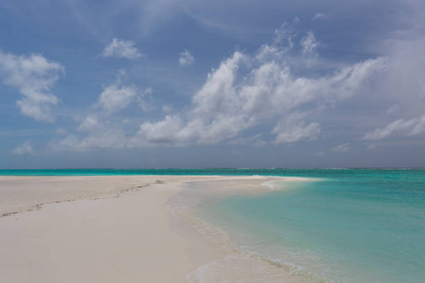 istock Lonely beach in the Caribbean on a sunny summer day No. 2 1010784690