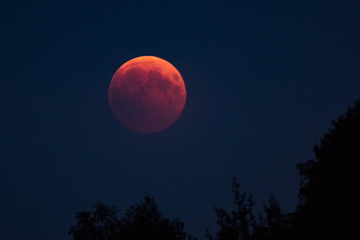lunar eclipse - blood moon - moon - eclipse - lunar.