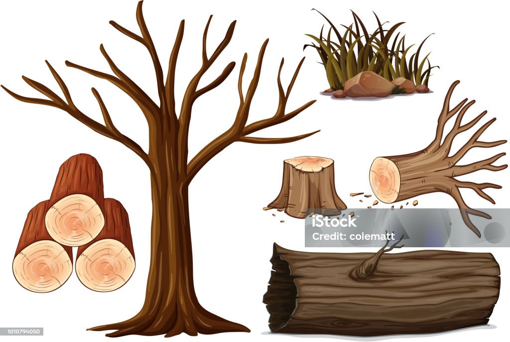 A Set of Wood A Set of Wood illustration Tree Trunk stock vector