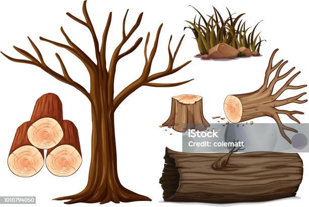 A Set Of Wood Stock Illustration - Download Image Now - Tree Trunk, Vector, Illustration