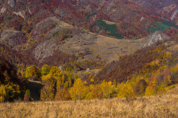 istock Autumn countryside landscape 1010795714