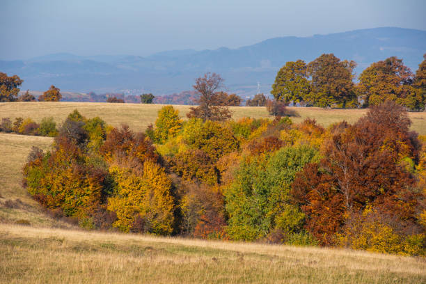 istock Colorful autumn landscape 1010796042