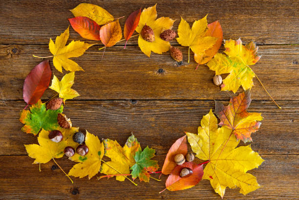 istock Autumn leaves over wooden background 1010799832