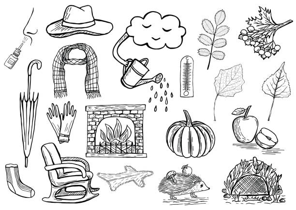 Hand drawn autumn vector icons Set of hand drawn autumn icons of clothes, leaves, etc.. Doodle design elements. Black and white vector illustration isolated on white background. Pencil or ink drawing knitted pumpkin stock illustrations