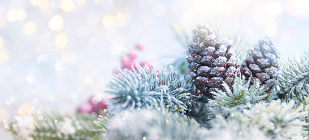 istock Christmas holiday snow background 1010805616