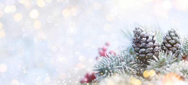 istock Christmas holiday snow background 1010805778