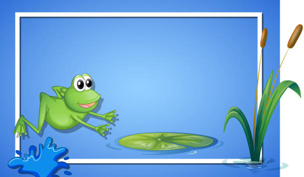점프 개구리 테두리 - frog jumping pond water lily stock illustrations