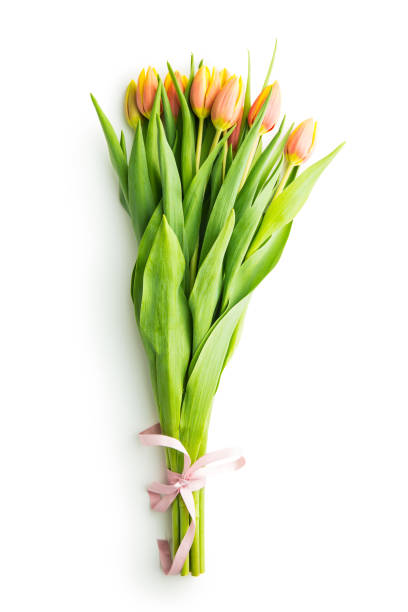 istock Bunch of orange tulip flowers 1010819092