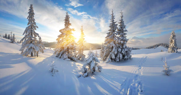 istock Morning panorama of mountains 1010819384