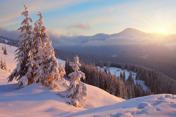 istock Colorful winter sunrise 1010819490