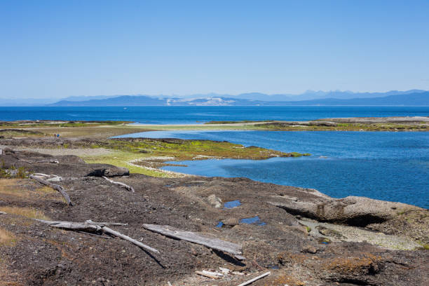 istock Coastline Along Helliwell Provincial Park 1010828010