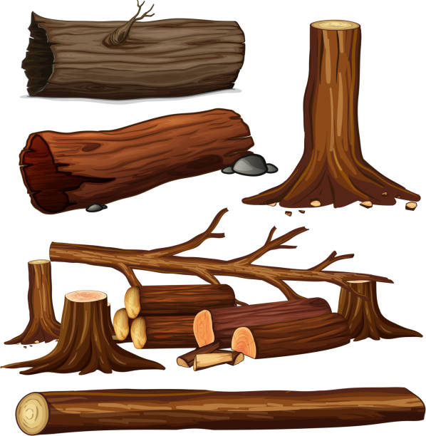 illustrazioni stock, clip art, cartoni animati e icone di tendenza di un insieme di legno d'albero - legno illustrazioni