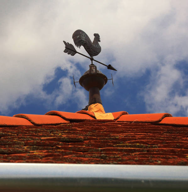 veleta en el techo con cielo nublado - roof roof tile rooster weather vane fotografías e imágenes de stock