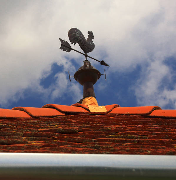 weathercock on roof with cloudy sky - roof roof tile rooster weather vane imagens e fotografias de stock