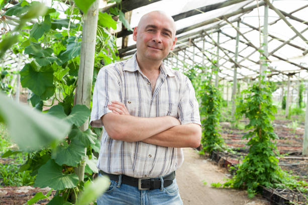 istock Male farmer in greenhouse 1010846486