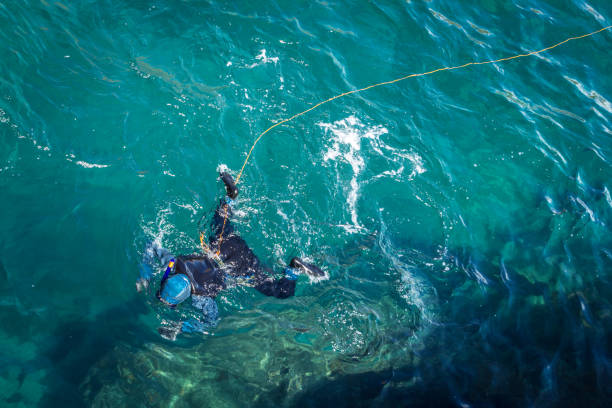 istock Diver on the surface of bluish 1010847224