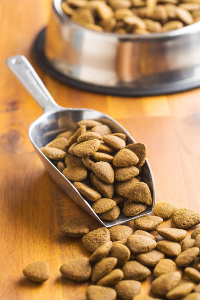 istock Dry kibble dog food 1010850774